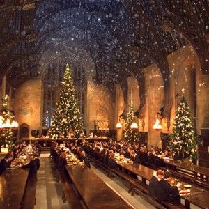 Meet your Posher, Charlene